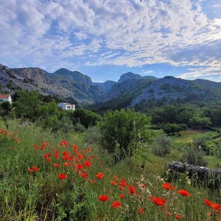 Apartments Paklenica Starigrad Paklenica Bagian luar foto