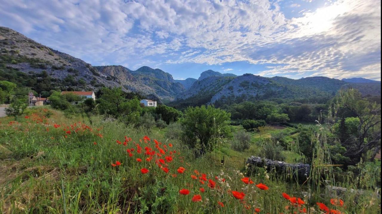 Apartments Paklenica Starigrad Paklenica Bagian luar foto